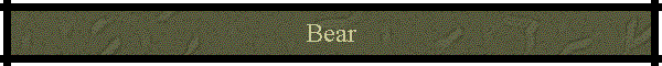 Bear