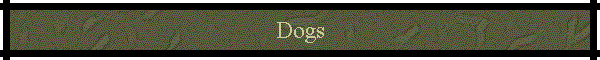 Dogs