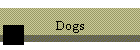 Dogs