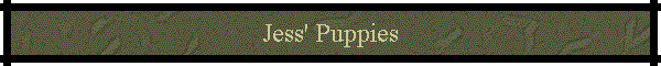 Jess' Puppies