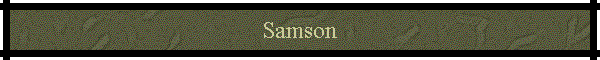 Samson